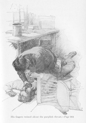  [Illustrations by Frank E. Schoonover, 1912]
